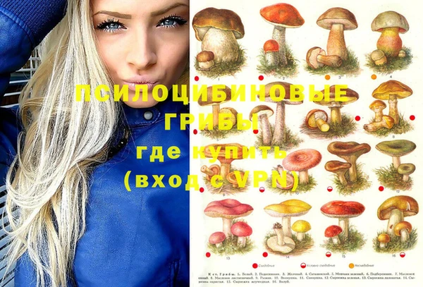ешки Белокуриха
