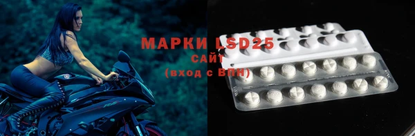 ешки Белокуриха