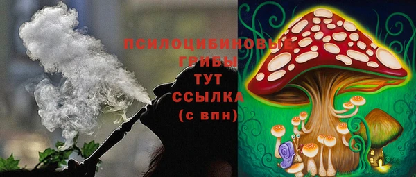 ешки Белокуриха
