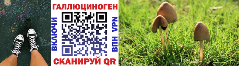 Псилоцибиновые грибы Cubensis  Купить  Волчанск 